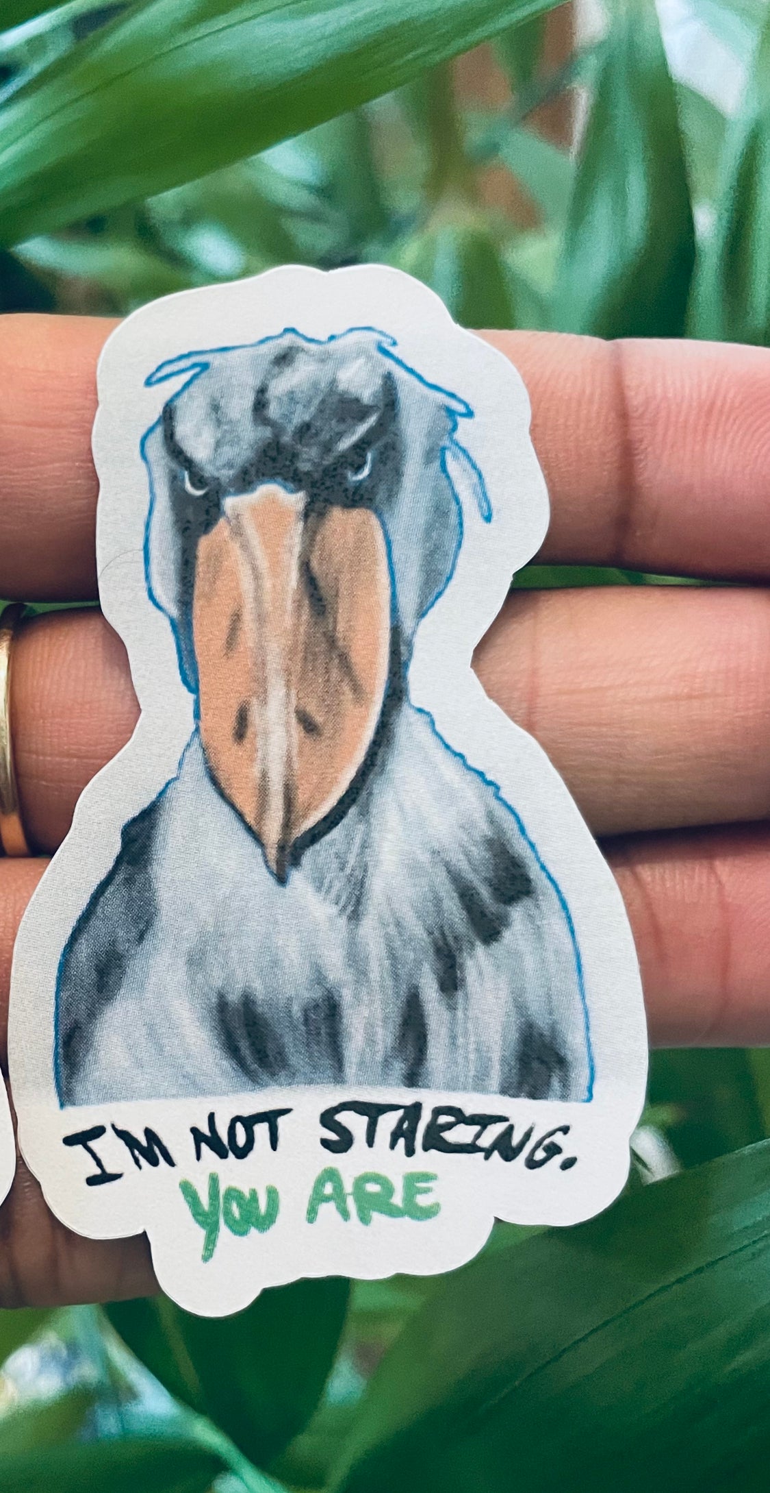 **Bill the Shoebill sticker!