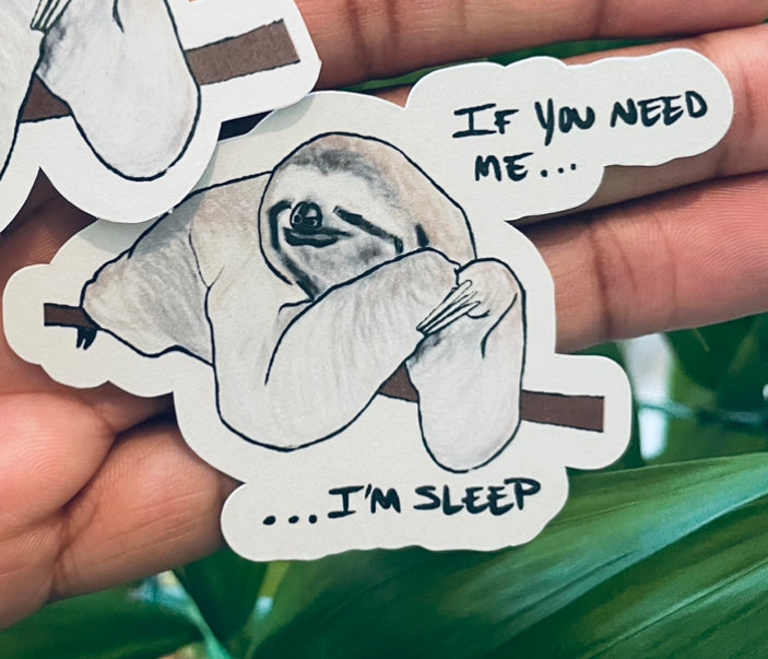 **Sloan the Sleepy Sloth