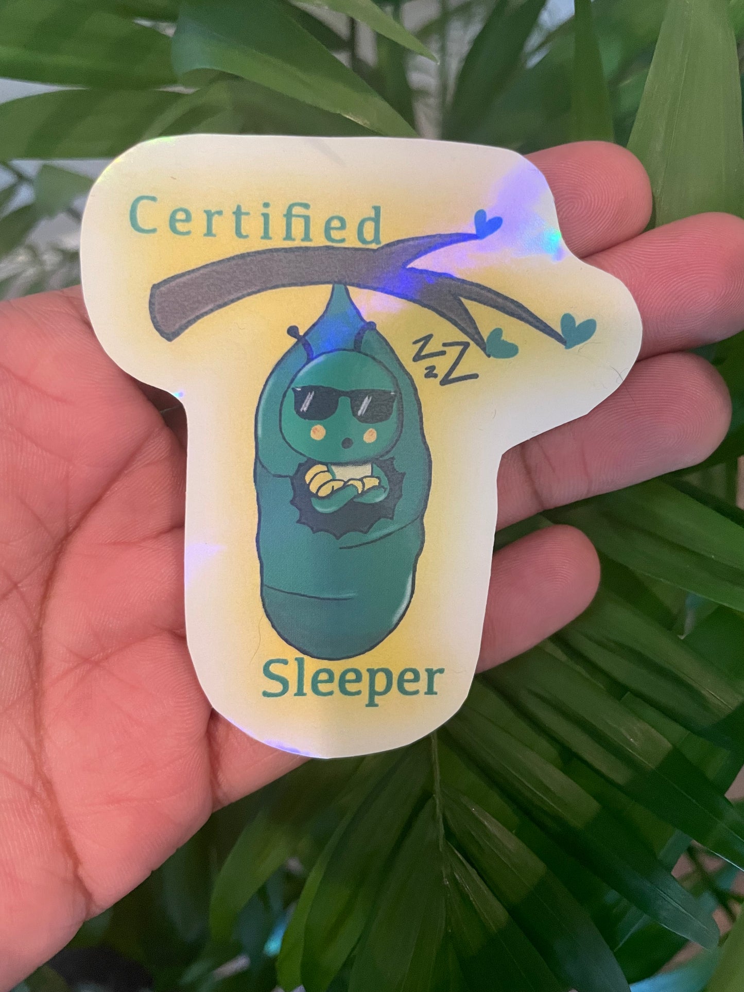 **New** Certified Sleeper